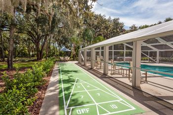 Shuffle board